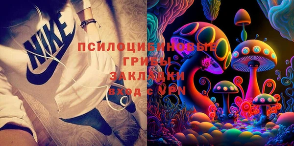 МДПВ Богородск