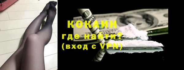 МДПВ Богородск