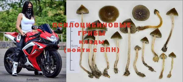 МДПВ Богородск