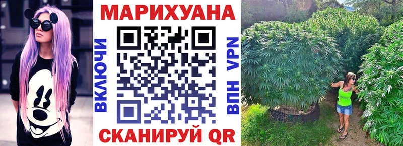 Марихуана OG Kush Старица
